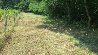 Pozemok - rekreačná oblasť pri obci Vinica - 3
