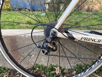Principia evolution weave c16t - 3