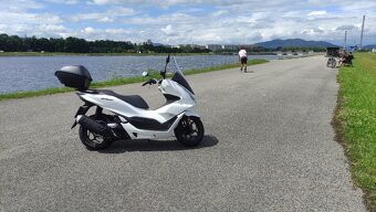 PCX - 3