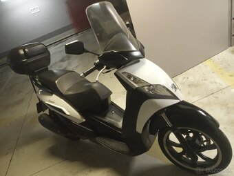 Peugeot Geo RS 250 - 3