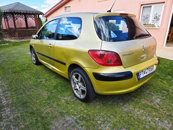 Peugeot 307 - 3