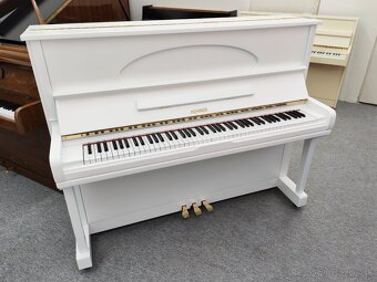 Hohner Jedinečná kvalita dovoz celá SR - 3