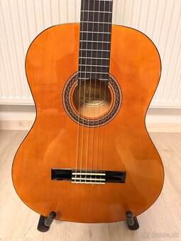 Gitara Valencia (stojan+obal) - 3