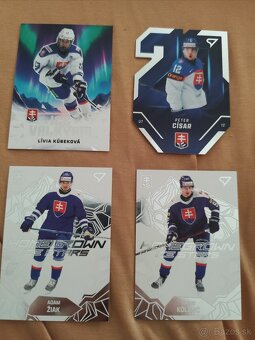 Hokejové Slovensko 2025 - 3