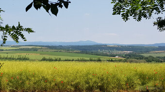 Predám dva vinohradnícke domy s pozemkami medzi vinohradmi p - 3