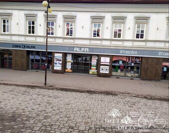 DELTA - ŠTÝLOVÉ KANCELÁRSKO-OBCHODNÉ PRIESTORY NA NÁMESTÍ V  - 3