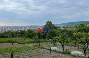 Záhrada na predaj - Rača v lokalite Frýdky - Fongová ul., 5, - 3