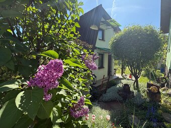 ZNÍŽENÁ CENA CHATKA S ELEKTRINOU A VODOU ZLATÉ MORAVCE - 3