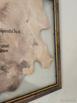 Obraz 83x57 latinský citát - 3