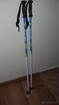 Predám detské lyžiarske prilby a paličky - 3