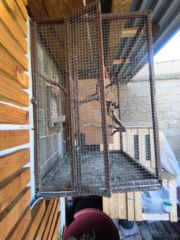 Volierka ,klietka - 3