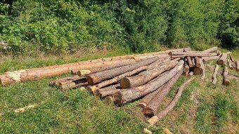 Predám hrabovú a bukovú vlákninu na palivové drevo - 3