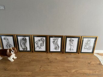 Kresby aktov ceruzou v nových rámoch,skle a pasparte - 3