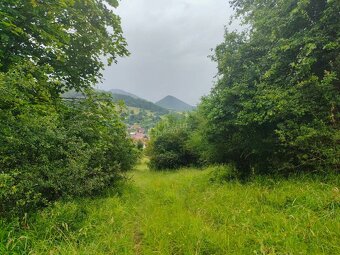 Predaj: Pozemok TTP 3016m2 v extraviláne obce Dolný Vadičov - 3