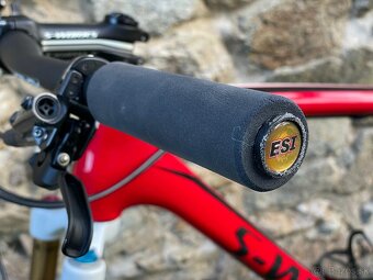 Specialized Stumpjumper S-Works Carbon 2012 - 3