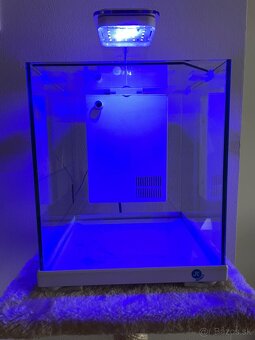 Komplet menšie akvárium 9L - 3