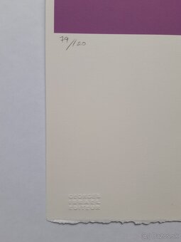 Andy Warhol  –  Mickey Mouse purple - 3