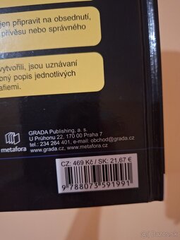 Výcvik mladeho kone - 3