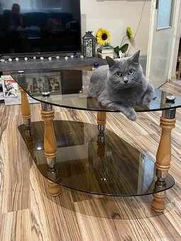 Konferenčný stolík - 3