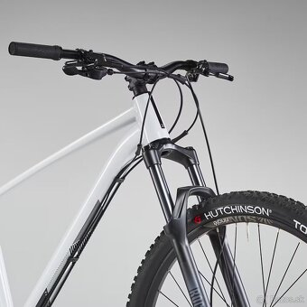 Rockrider hartail am 100 - 3