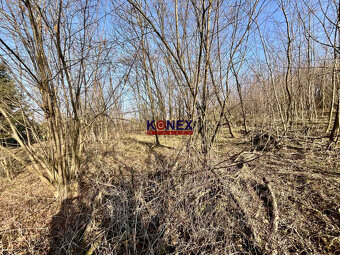 Rozľahlý pozemok (4846 m²) v intraviláne VRANOVA N/TOPĽOU - 3