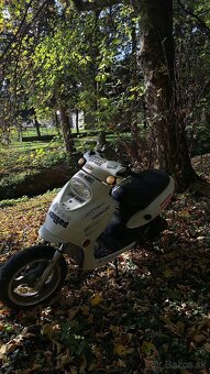 Adams - 3
