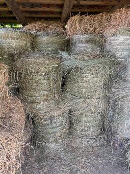 Seno tohtoročné - 3