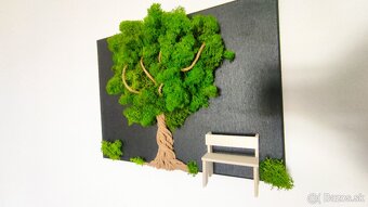 Nový machový obraz - 3