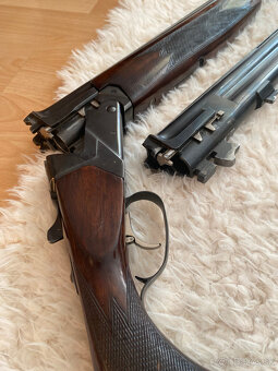 Broková kozlica - 3