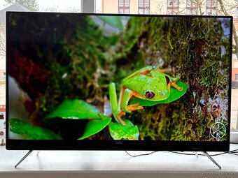 Samsung UE49K5102 FHD 123cm - 3