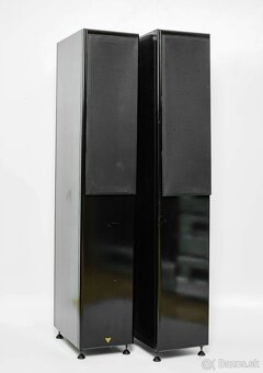 Vienna Acoustics Apis - 3