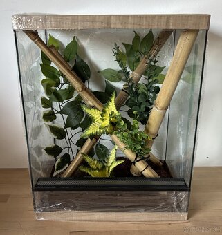 Zariadené terárium 40x30x50 - 3