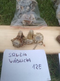 Predám srnčie vábničky a prívesky z parožia - 3