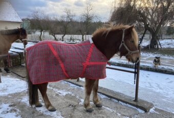 Pony veci - 3
