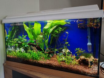 Predám akvarium - 3