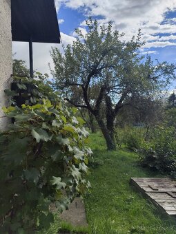 Záhrada s murovanou chatou - Košice-Západ - 3