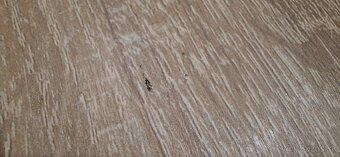 Predám kuchynský stôl - 3