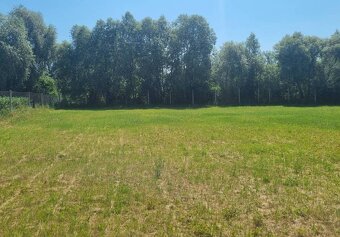 Dvorany nad Nitrou - veľký pozemok pri vodnej zátoke NR-TO - 3
