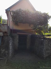 Vinohrad v Tokajskej oblasti - 3