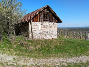 Pozemok - Vinice Čajkov - Sádovské - 3