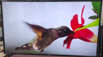 Predám 4KUHD SMART TV LG 65UJ6307 (165cm) - 3