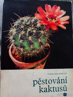 Knihy Kaktusy - 3