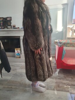 Strieborná liska - 3