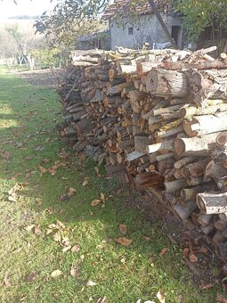 Palivové drevo - 3