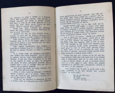 Starožitná kniha Josef Wünsch Po souši a po moři z roku 1880 - 3