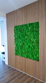 Machové steny a logá na mieru - 3