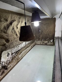 Terarium - 3