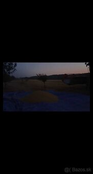 Jačmeň - 3