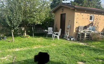 Záhrada na predaj TOP - 3