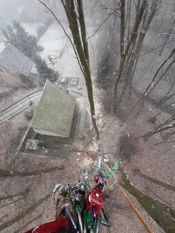 Arboristika, rizikové výruby a orezy stromov - 3